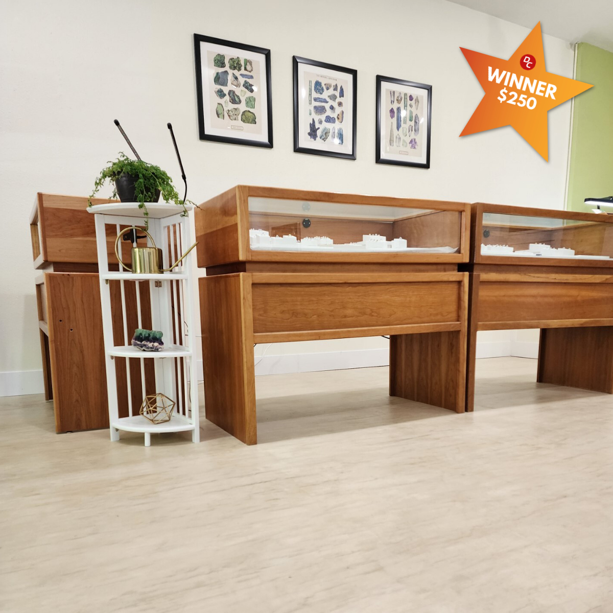 Image for the Customer Spotlight of $250 Cash Winner - Nicole T.